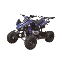 250cc Quad Bike, Racing ATV EEC Approval with 10inch Wheels